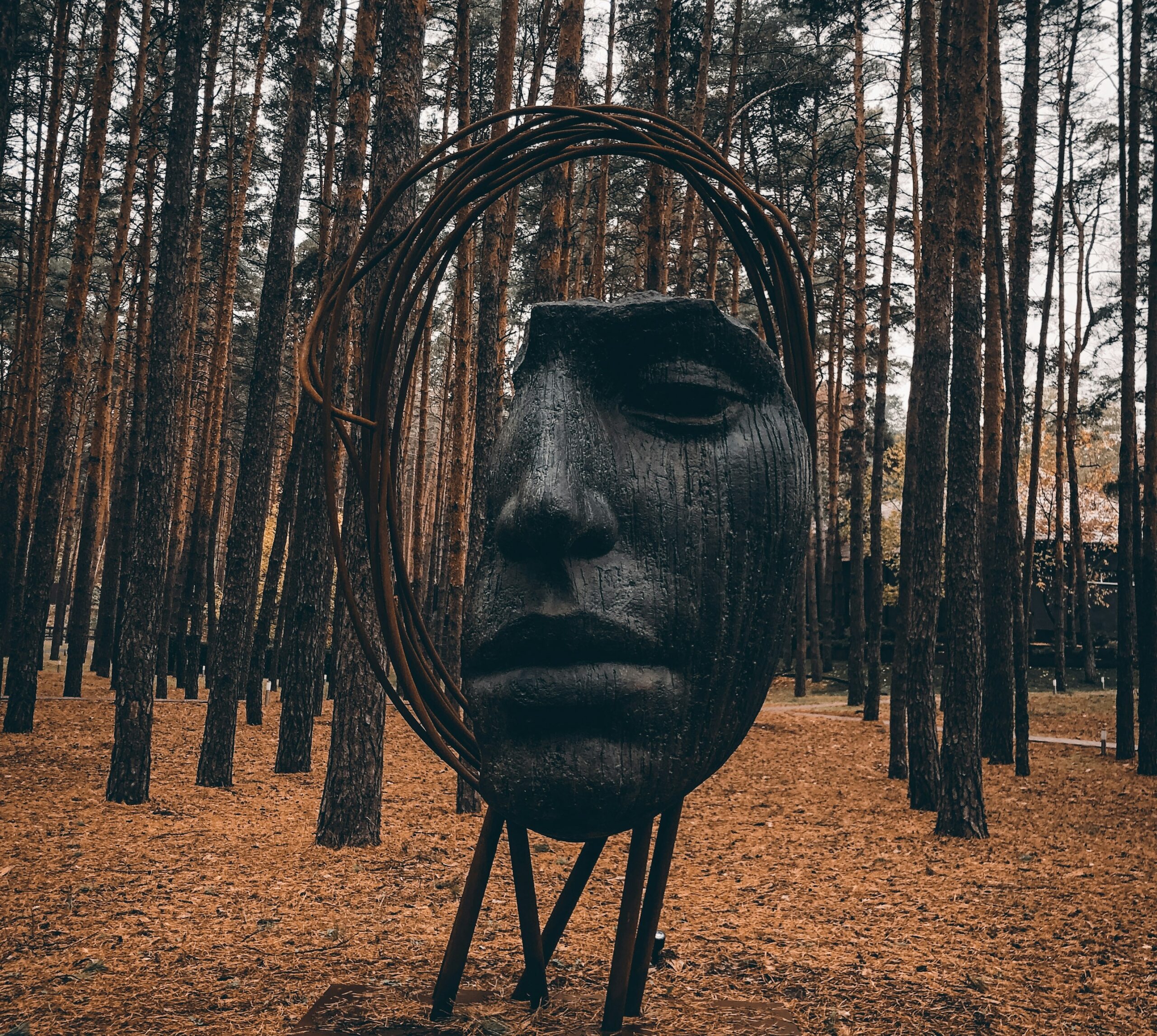 Une autre voie d’exploration de l’esprit