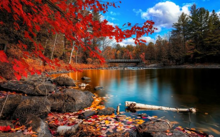 Séance de yoga pour l’automne. Apaiser le dosha Vata. Najia Begny