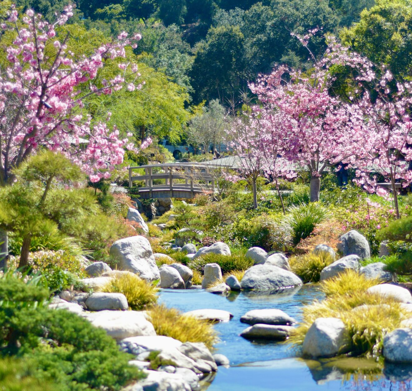 Yoga au rythme des saisons : le printemps