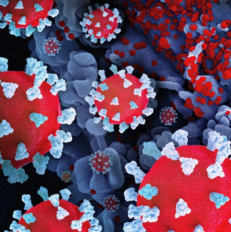 autoimmunity