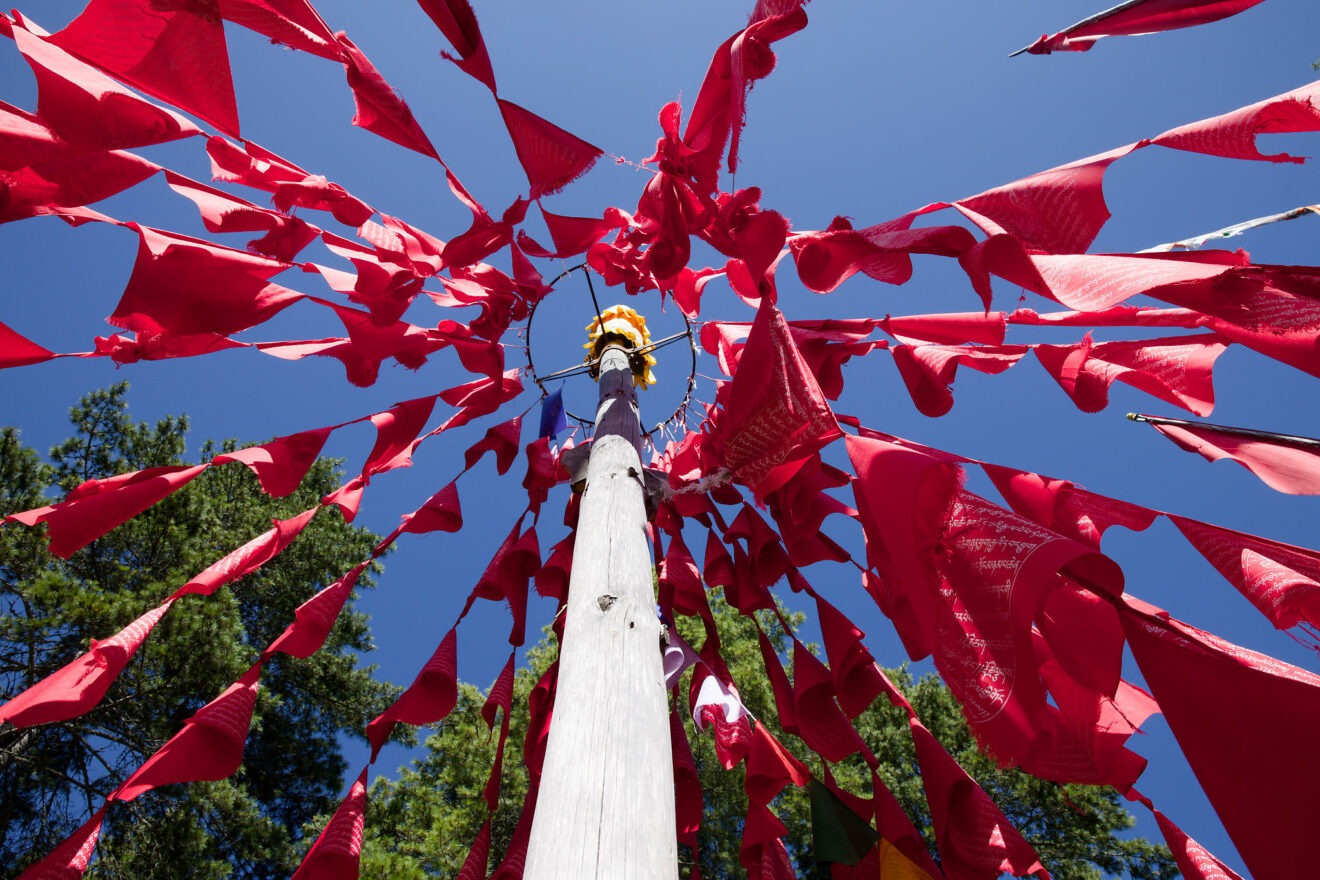 Hommage à Peter Hersnack, du 12 au 14 juin 2026