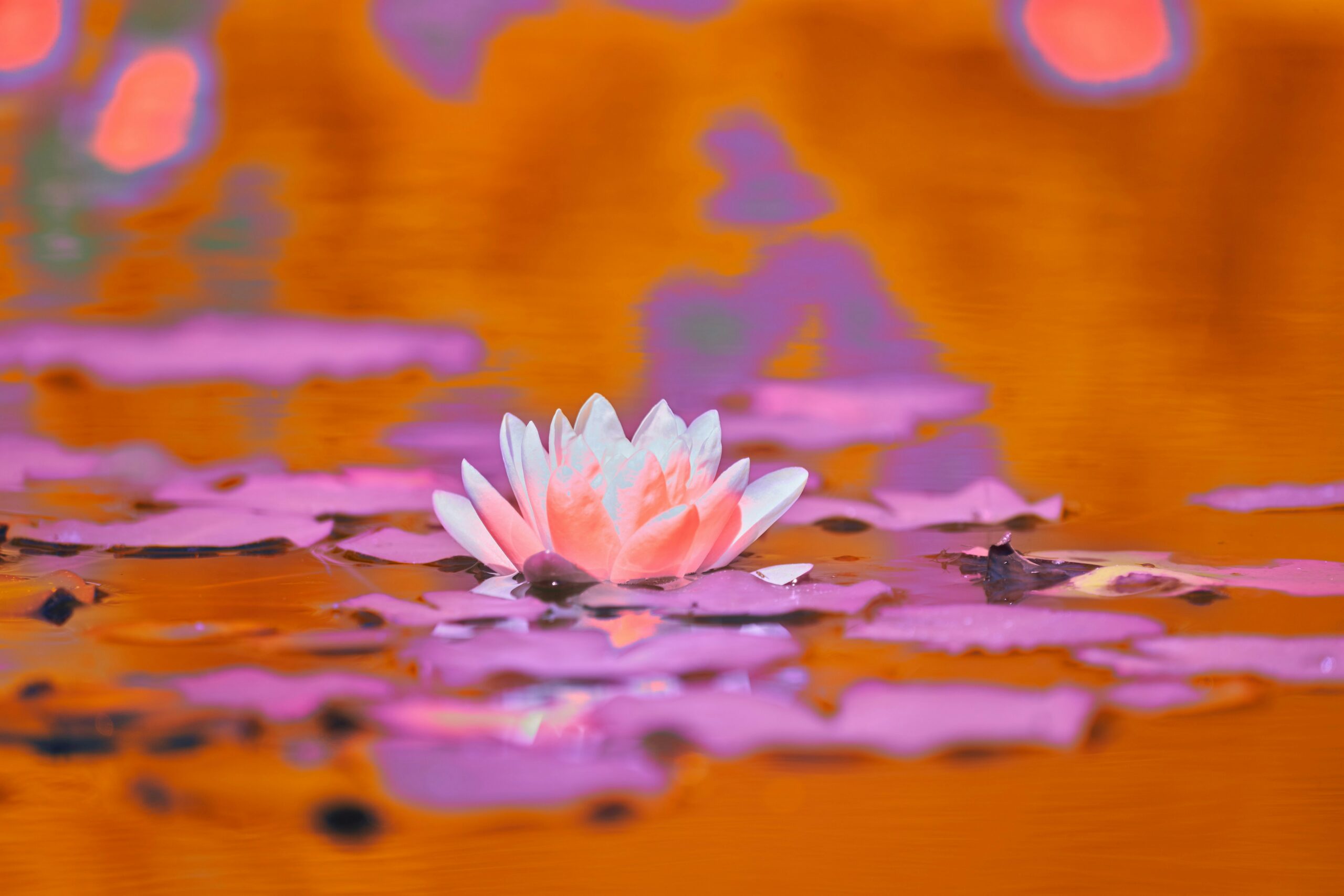 Cancers en augmentation : mieux comprendre pour mieux prendre soin de son corps